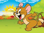 Jerry Man