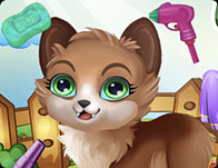 Lovely Pet Friends Makeover