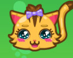 Spiel mit der Katze