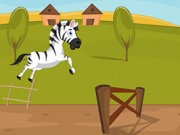 Racing Zebra